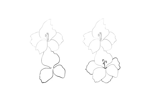 jak nakreslit květinu v etapách 9