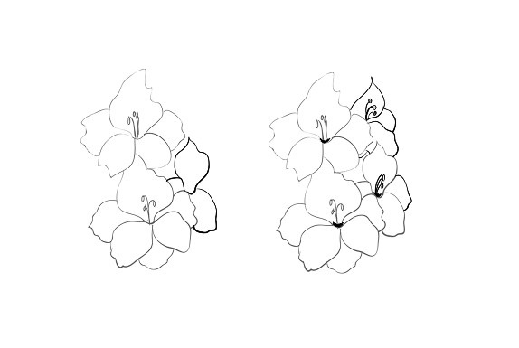 како нацртати цвијет у фазама 10