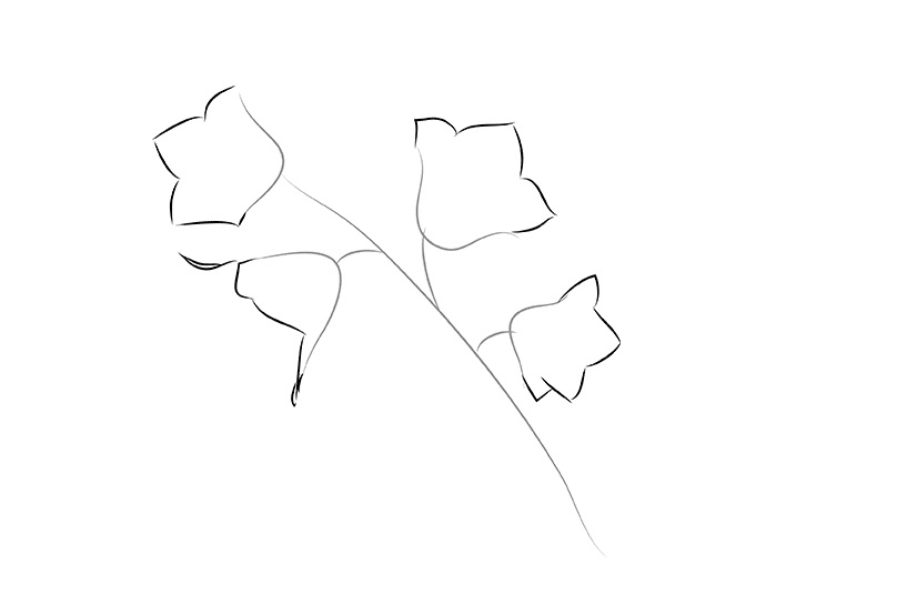 jak narysować kwiat w etapach 2