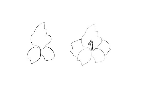 како нацртати цвет у етапама 8