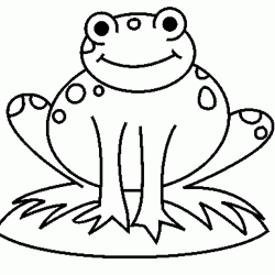 Како нацртати жабу 19