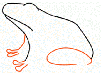 Како нацртати жабу 35