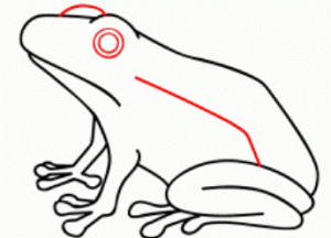 Како нацртати жабу 39