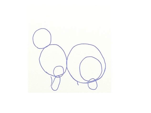 kako nacrtati zec u fazama 8