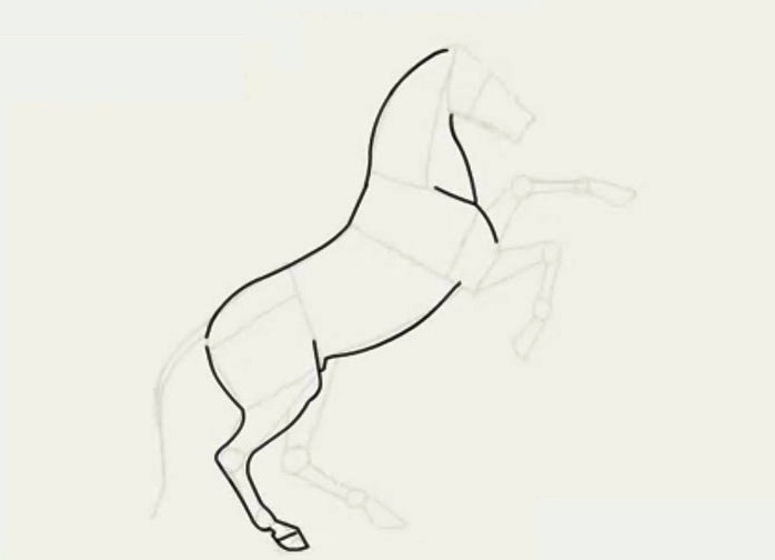 jak narysować konia ołówkiem w etapach 17