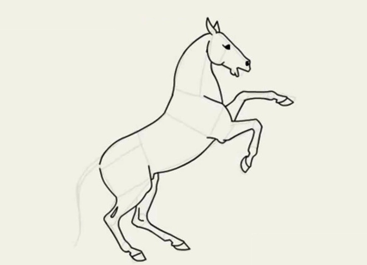kako crtati konja u olovku u fazama 19