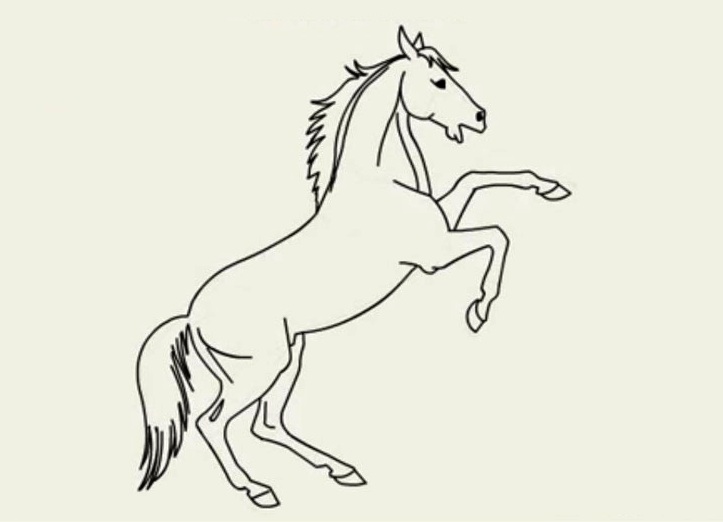 како да нацртате коња у кораку са оловком за корак 20