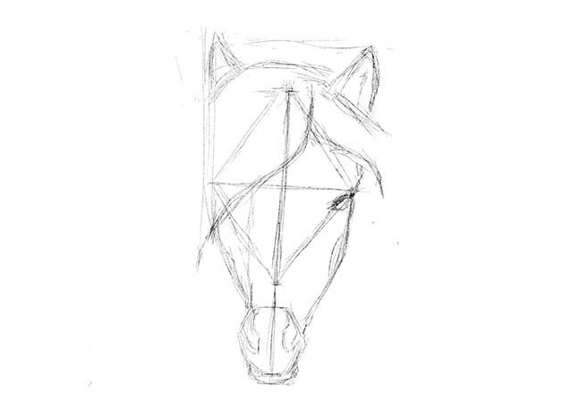 како нацртати коња у оловци у етапама 22