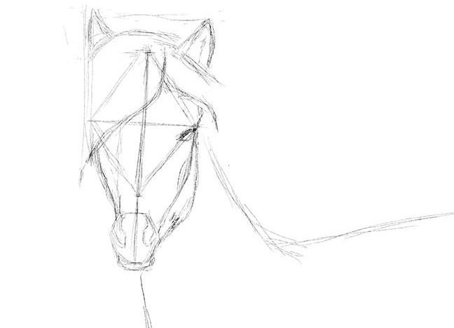 како нацртати коња у кораку са оловком за корак 23