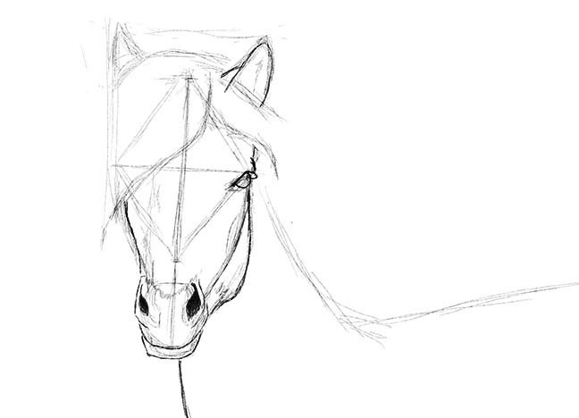 как да нарисувате кон в молив на етапи 24