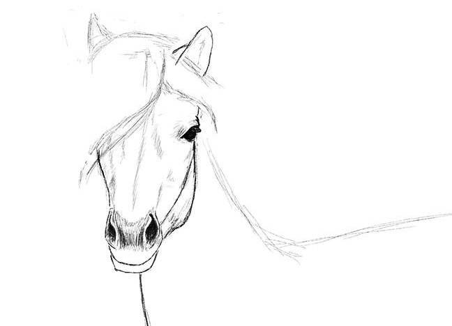 како нацртати коња у кораку корак по корак 25