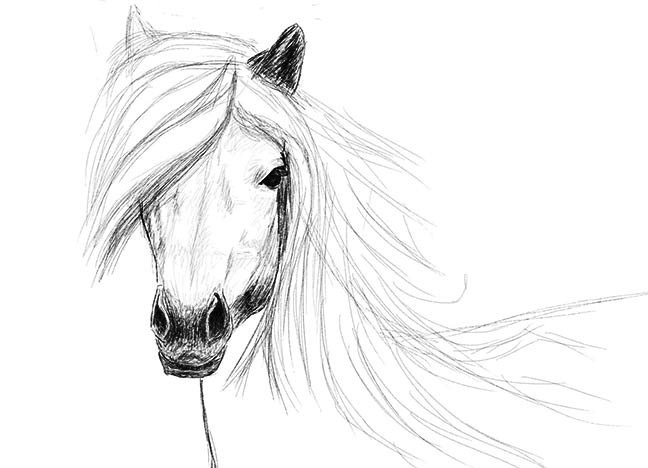 как да нарисувате кон в молив стъпка по стъпка 26