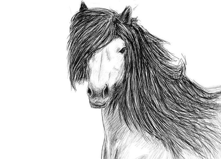 како да нацртате коња у кораку са оловком за корак 28