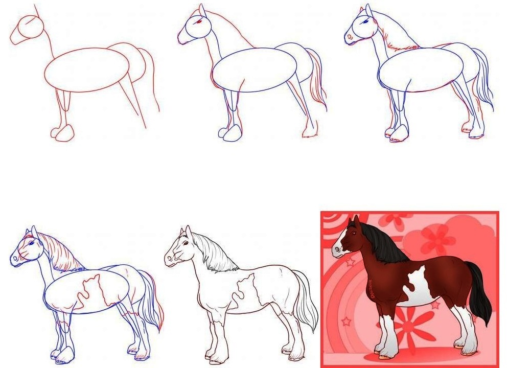 kako privući konja u olovku korak po korak 2