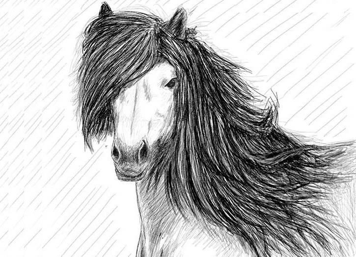 как да нарисувате кон в молив стъпка по стъпка 29