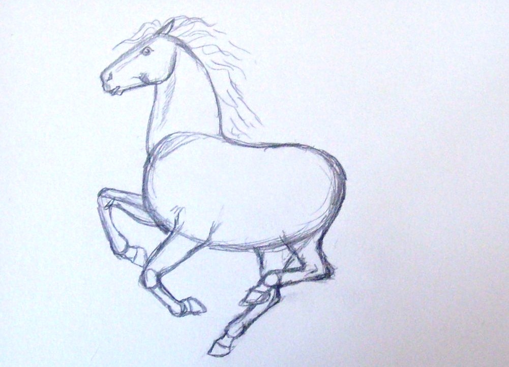како нацртати коња у оловци у фазама 8