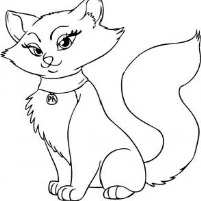 Jak narysować kotka 13