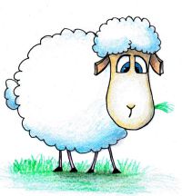 kako crtati ovcu
