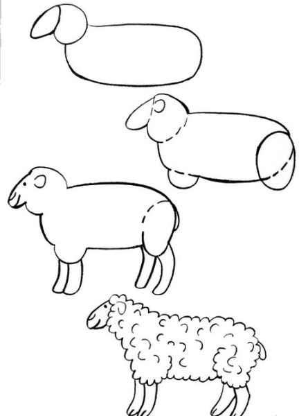 как да нарисувате овца 2