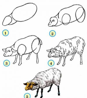 kako privući ovcu 3