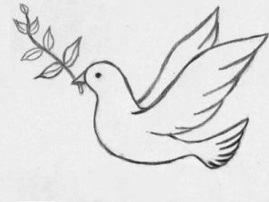 Kako crtati golub za 12 djece u olovku