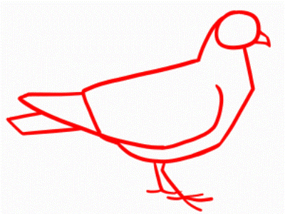 Kako nacrtati golub u olovku u fazama s djecom 18