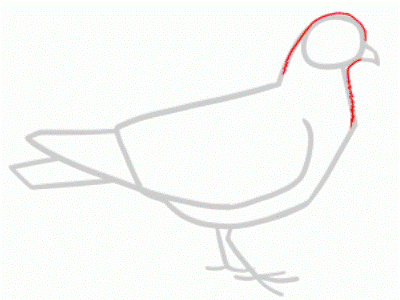 Како нацртати голубицу са дјецом оловком у етапама 19