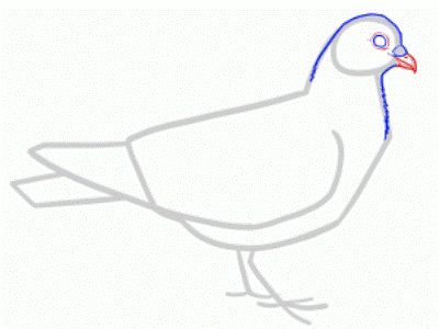 Како нацртати голубицу са дјецом у оловци у корацима 21