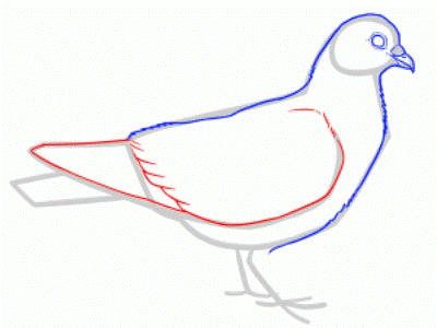 Како да обарвате голубове у оловци Корак по корак 23