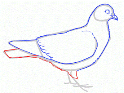 Jak narysować gołębia z dziećmi ołówkiem w etapach 24