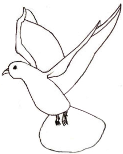 Како нацртати голуб у оловци у фазама 3