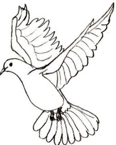Како нацртати голубицу са дјецом у оловци у фазама 4