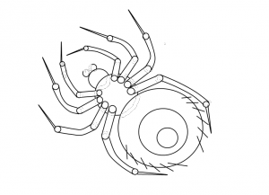 Како нацртати пауку 9