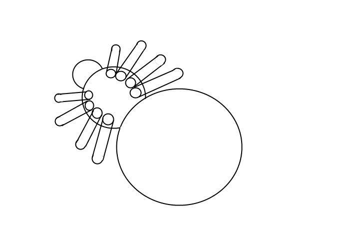 Како нацртати пауку 4