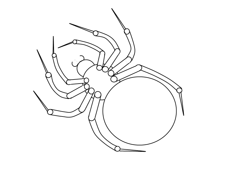 Jak narysować pająka 7