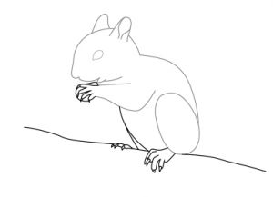 Jak narysować wiewiórkę 12