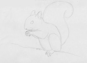 Jak narysować wiewiórkę 14