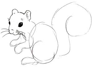 Kako crtati vjeverica 6