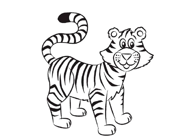 Како нацртати тигар 18
