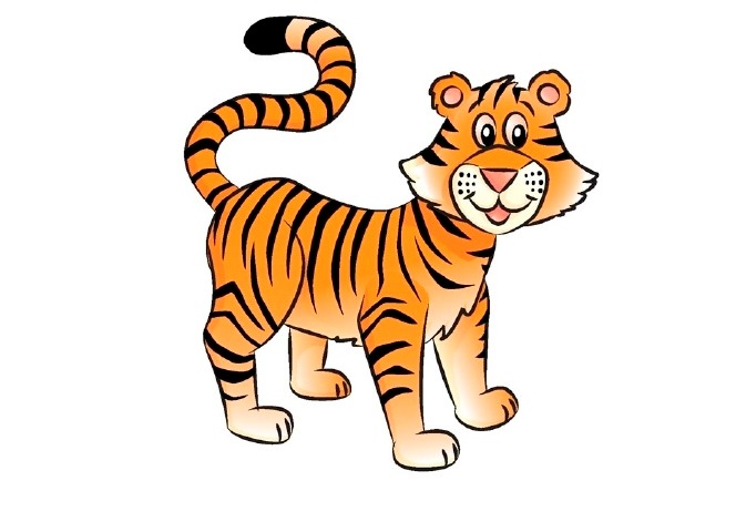 Как да нарисувате тигър 19
