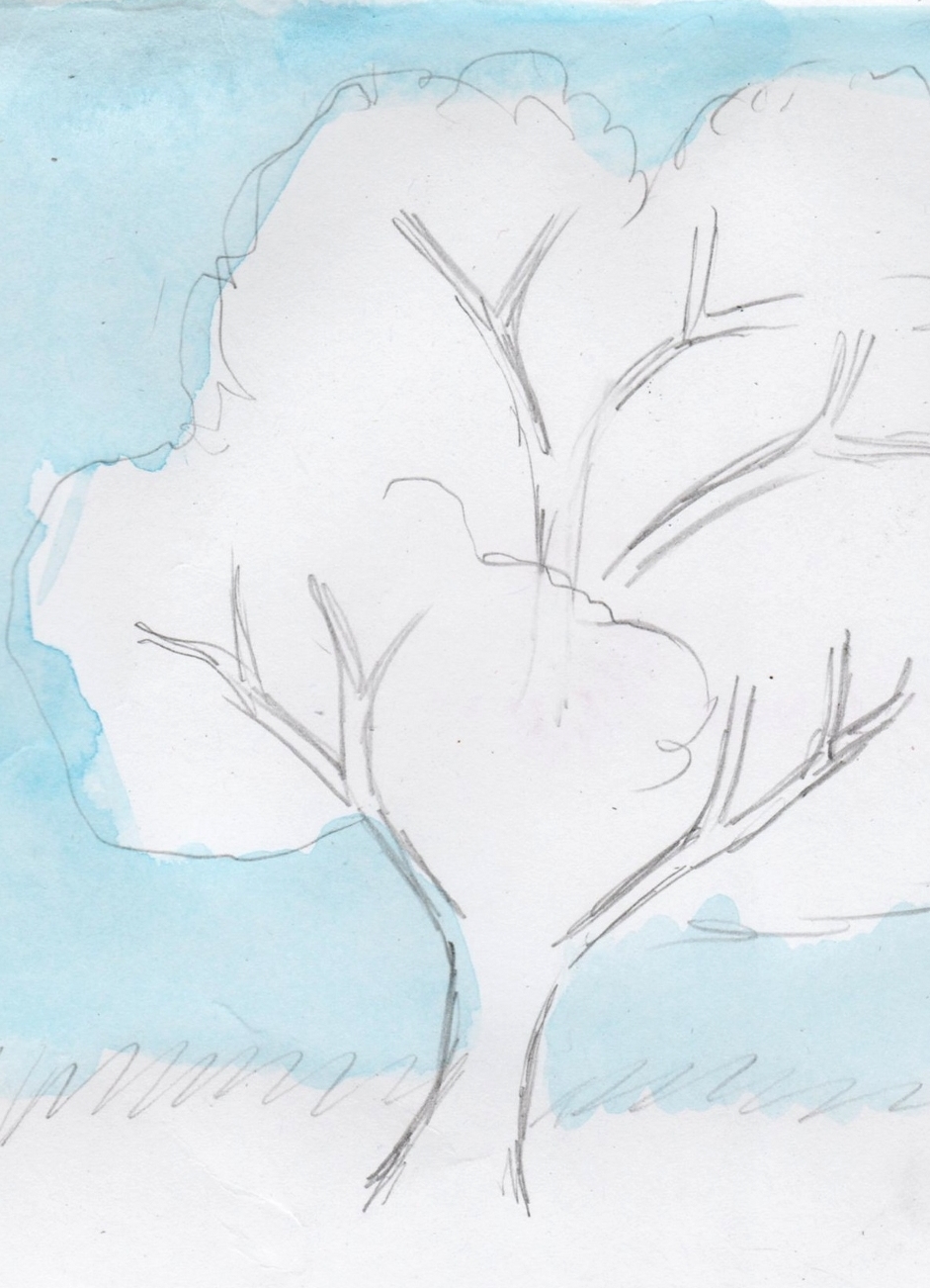 Jak narysować drzewo 11