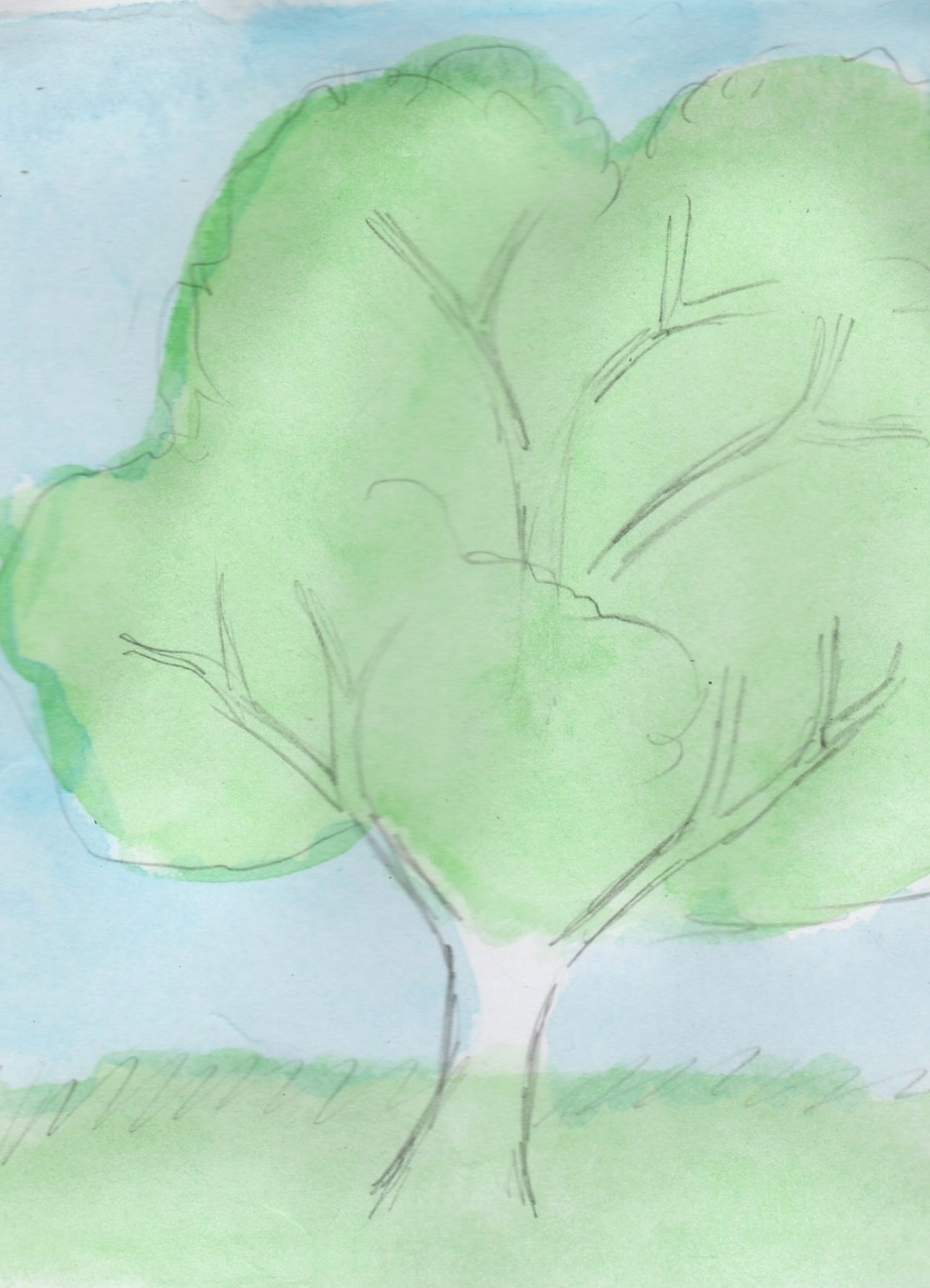 Kako crtati stablo 12