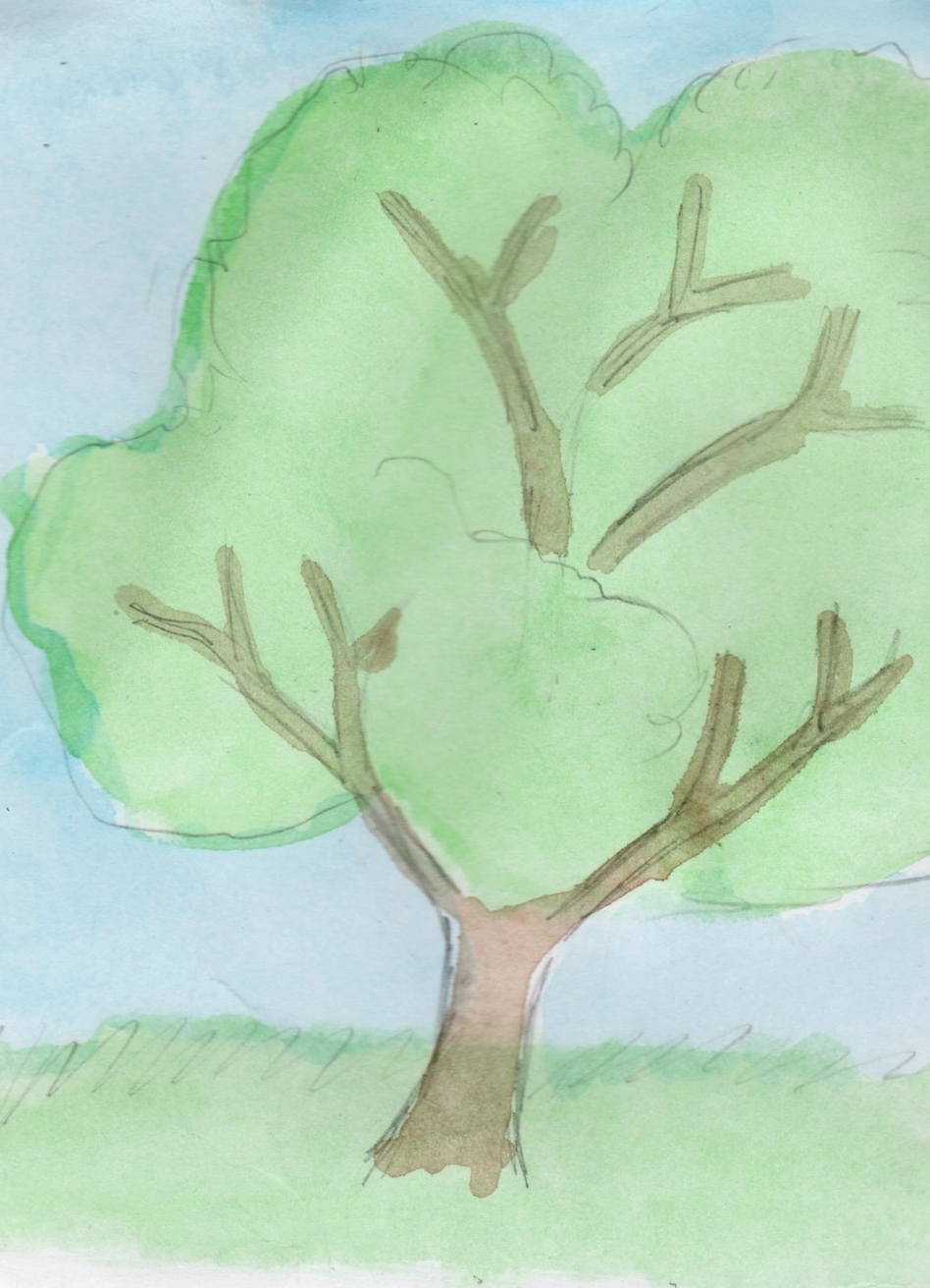 Как да нарисуваме дърво 13