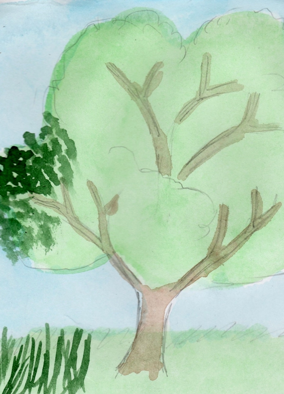 Како нацртати дрво 14