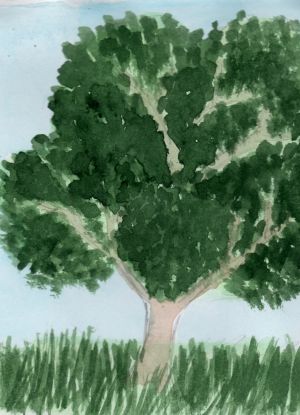 Как да нарисуваме дърво 16