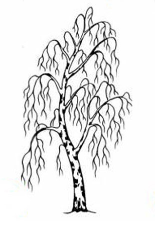 Како нацртати дрво 3