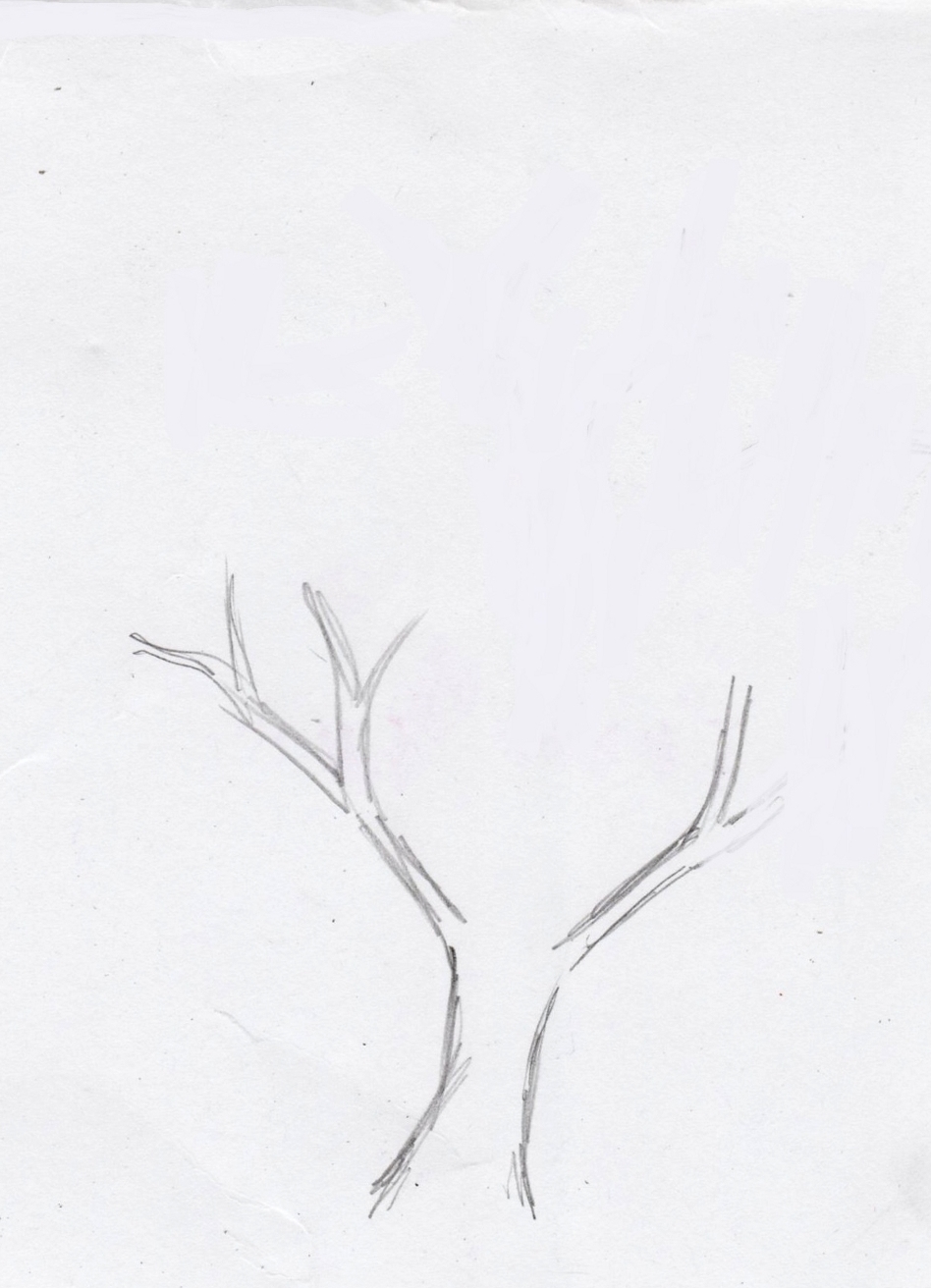 Како нацртати дрво 7