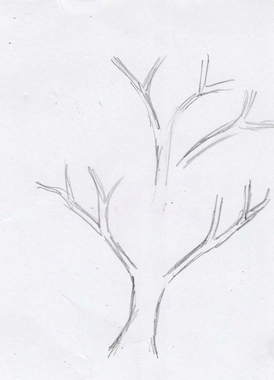 Jak narysować drzewo 9