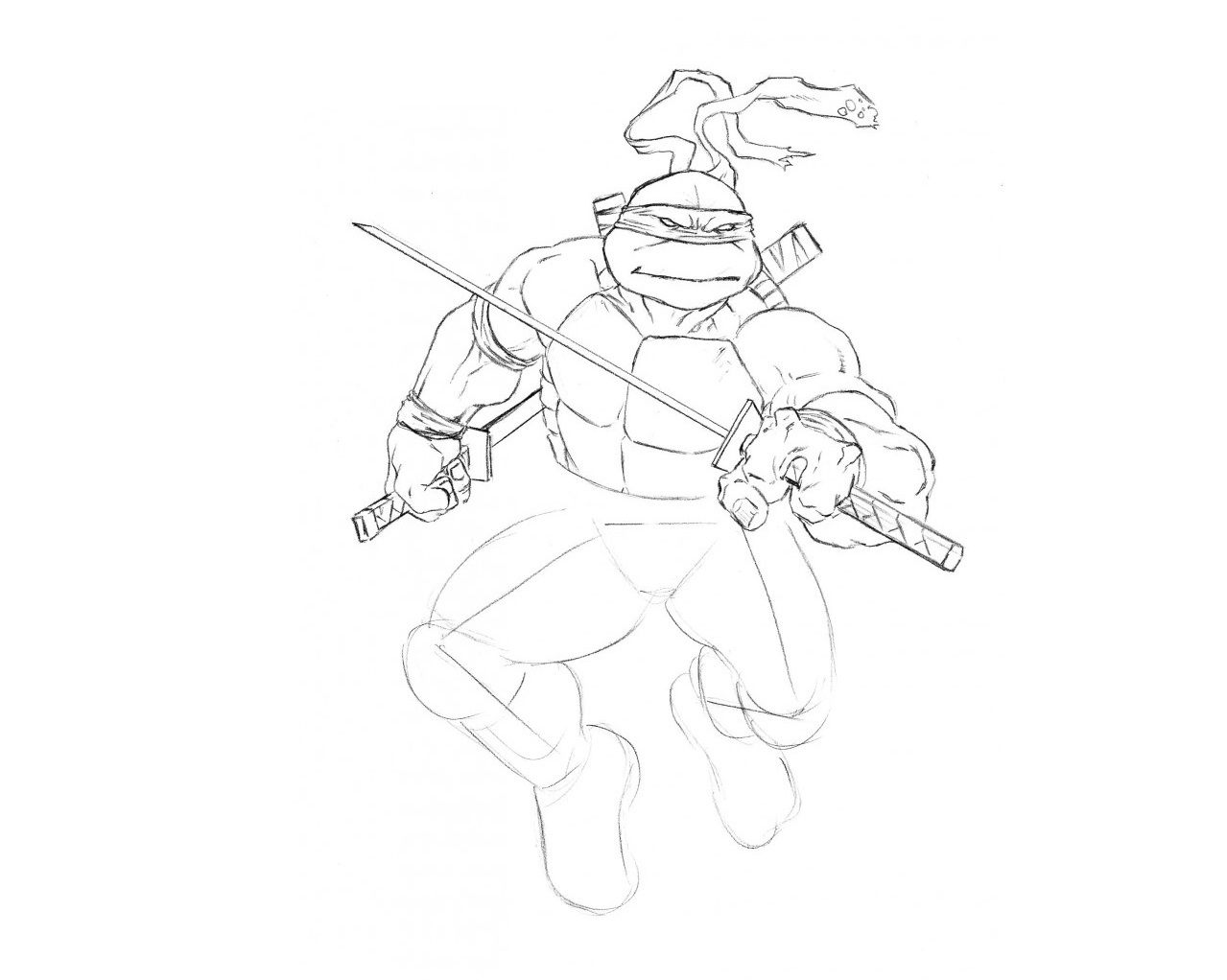Kako pripraviti ninja želva 35