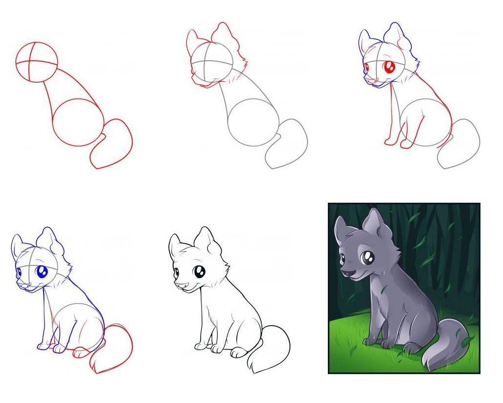 как да нарисувате вълк 1